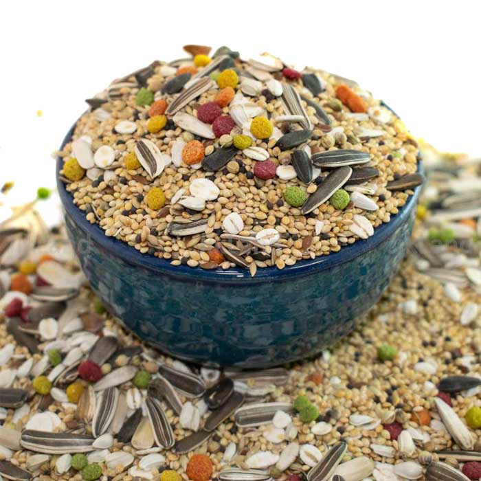 غذای عروس هلندی مدل SOD101 وزن یک کیلوگرم