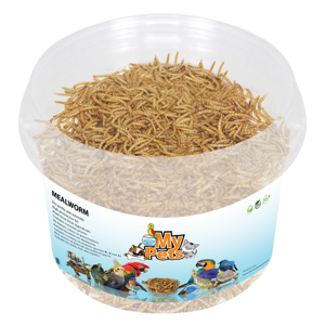 غذای تشویقی پرندگان مای پتز مدل Mealworm وزن 70 گرم