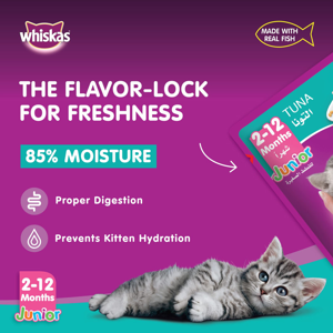 پوچ گربه ویسکاس مدل Tuna flavour in jelly وزن 80 گرم