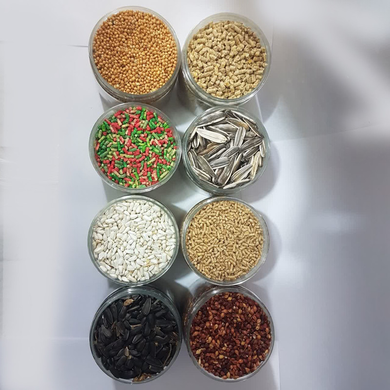 غذای طوطی کواکر کاسنر کد K3 وزن 176 گرم بسته 8 عددی