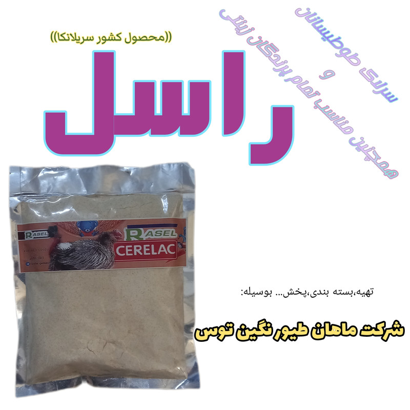 غذای کمکی طوطیسانان و سایر پرندگان زینتی راسل مدل Normal کد s002 وزن 200 گرم