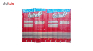 استیک گربه کچت مدل Mit Lachs and Forelle وزن 100 گرم