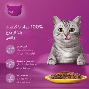 پوچ گربه ویسکاس مدل with chiken in gravy وزن 80 گرم