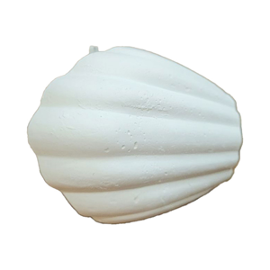 سنگ کلسیم کد 04 مدل صدف وزن 22 گرم