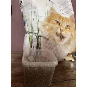 غذای خشک گربه دورمئوس مدل Happy Cat وزن 500 گرم