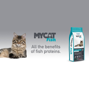 غذای خشک گربه بالغ وینسنت مدل Mycat - Fish وزن 4 کیلوگرم