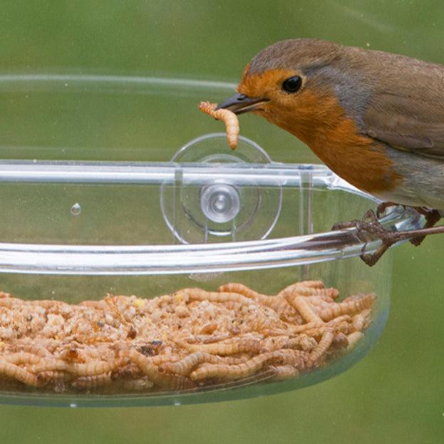 غذای پرنده تاپ فید مدل Meal Worm وزن 40 گرم