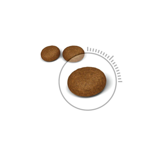 غذای خشک گربه هپی کت مدل Hairball وزن 1.5 کیلوگرم