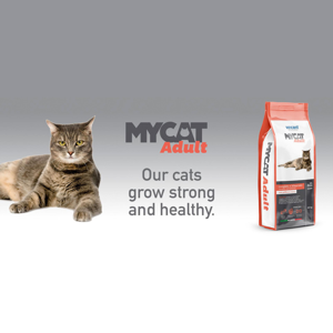 غذای خشک گربه بالغ وینسنت مدل Mycat - Chicken وزن 4 کیلوگرم