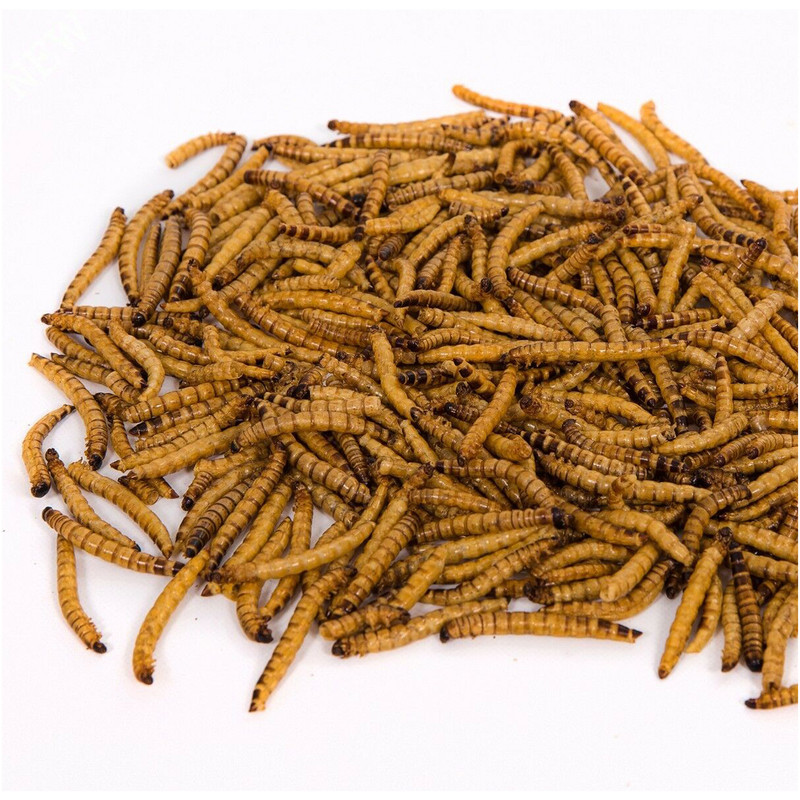 غذای تشویقی مرغ مینا ولکانو سوپرورم کد SWM70 وزن 70 گرم