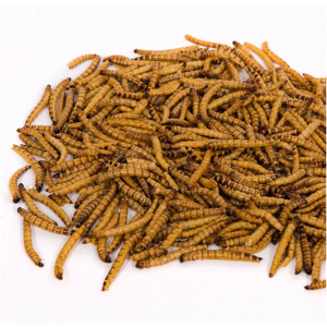 غذای تشویقی مرغ مینا ولکانو سوپرورم کد SWM70 وزن 70 گرم