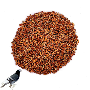 غذای پرندگان اگری گل مدل گندم Red Wheat وزن 2000 گرم