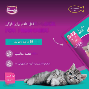 پوچ گربه ویسکاس مدل Tuna flavour in jelly وزن 80 گرم