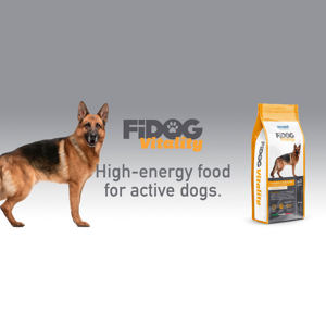 غذای خشک سگ بالغ فعال و پر انرژی وینسنت مدل Fidog - Chicken وزن 4 کیلوگرم