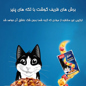 غذای پوچ گربه فلیکس مدل Beef and Cheese Super Flavored Jelly وزن 100 گرم