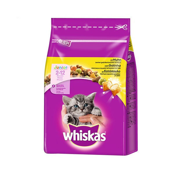 غذای خشک گربه ویسکاس مدل Kitten Dry Chicken وزن 300 گرم