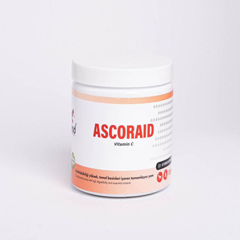 قرص جویدنی سگ و گربه وی اس دی مدل ویتامین سی Ascoraid وزن 120 گرم