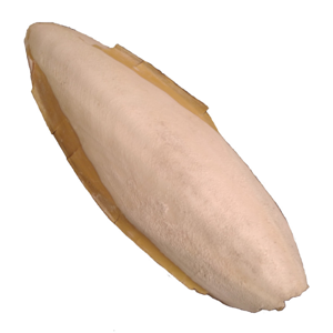 کف دریا کد M 115 وزن ۱۱۵ گرم