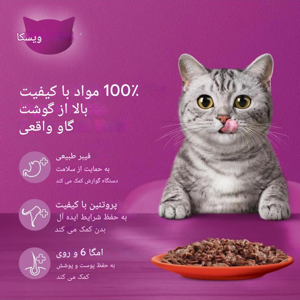 پوچ گربه ویسکاس مدل with beef liver in gravy وزن 80 گرم