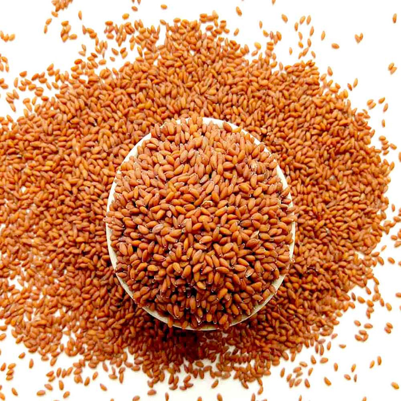 غذای پرندگان مدل تخم شاهی وزن 1 کیلوگرم