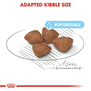 غذا خشک سگ رویال کنین مدل mini starter وزن 1 کیلوگرم