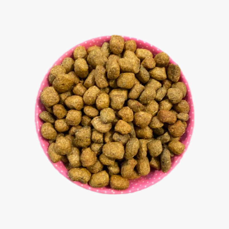 غذای خشک سگ رژپت مدل حمایتی طعم مرغ و جگر وزن 10 کیلوگرم