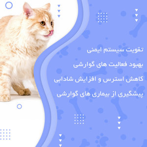 مکمل حیوانات خانگی پارسی لاکت مدل Pet-BC وزن 120 گرم
