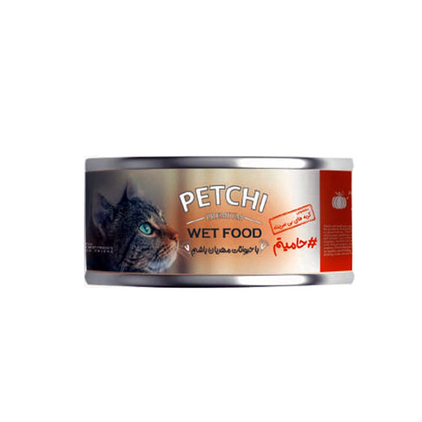 کنسرو غذای گربه پتچی مدل WetFood وزن 120 گرم