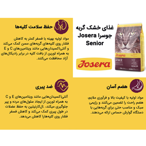 غذا خشک گربه مسن جوسرا مدل Senior حفظ سلامت کلیه وزن 2 کیلوگرم