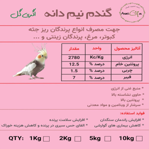 غذای پرندگان اگری گل مدل گندم شکسته وزن 2000 گرم