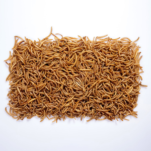 غذای خشک میلورم کد 13MFARM وزن 130 گرم