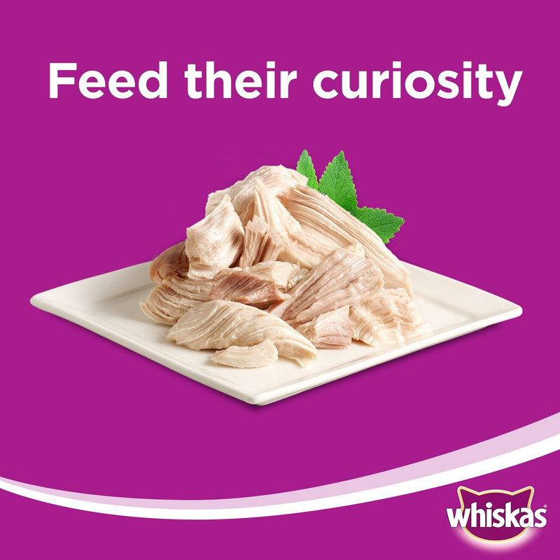 غذا پوچ گربه ویسکاس مدل Chicken Purrfectly وزن 85 گرم