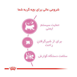 غذای خشک گربه رویال کنین مدل Mother And Babycat وزن 2 کیلوگرم