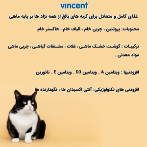 غذای خشک گربه بالغ وینسنت مدل Mycat - Fish وزن 4 کیلوگرم