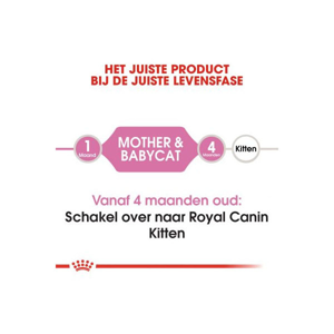 غذا خشک گربه رویال کنین مدل Mother And Babycat وزن 4 کیلوگرم به همراه بستنی
