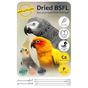 غذای خشک حیوانات مدل bsfl وزن 40 گرمی