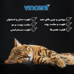 غذای خشک گربه بالغ وینسنت مدل Mycat - Fish وزن 4 کیلوگرم