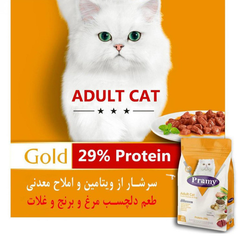 غذای خشک گربه پرامی مدل adult cat chicken and rice وزن 15 کیلوگرم