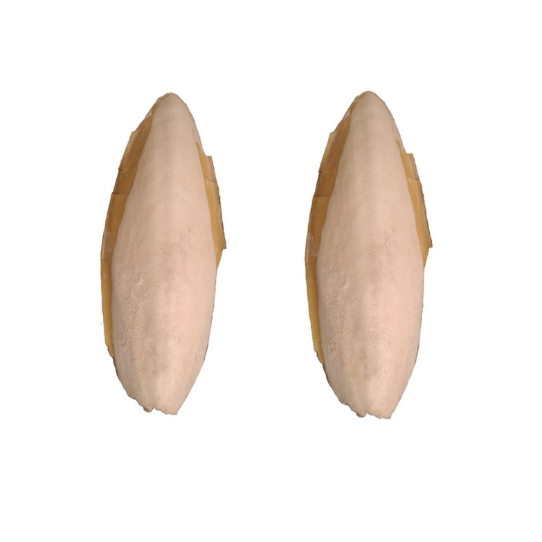 کف دریا کد 214 G وزن 14 گرم مجموعه 2 عددی