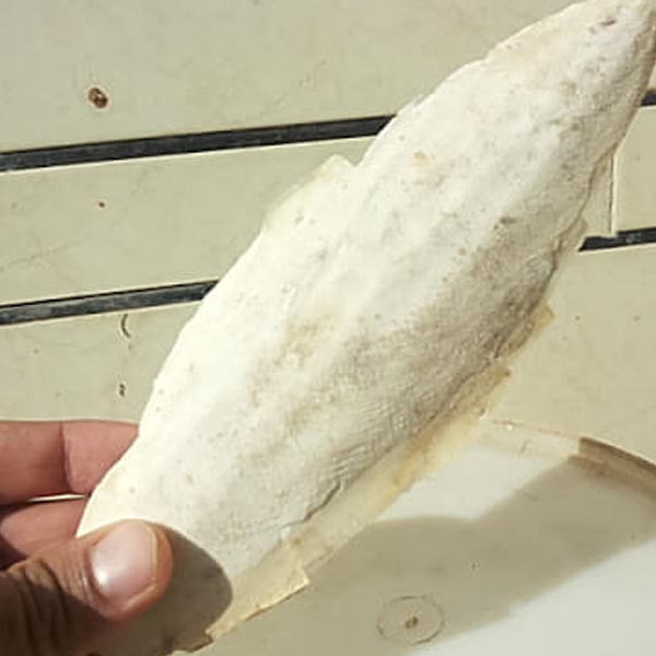 کف دریا کد irc100 وزن 100 گرم