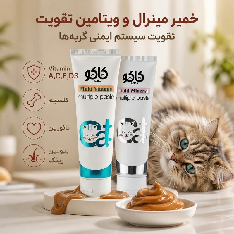خمیر مولتی ویتامین و مینرال گربه کاکو مدل Multiple Paste وزن 200 گرم بسته 2 عددی