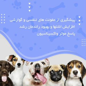 مکمل حیوانات خانگی پارسی لاکت مدل Pet-BC وزن 120 گرم