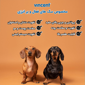غذای خشک سگ بالغ فعال و پر انرژی وینسنت مدل Fidog - Chicken وزن 4 کیلوگرم
