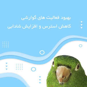 مکمل پرندگان خانگی پارسی لاکت مدل Bird-BC وزن 120 گرم