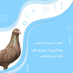 مکمل پرندگان خانگی پارسی لاکت مدل Bird-BC وزن 120 گرم