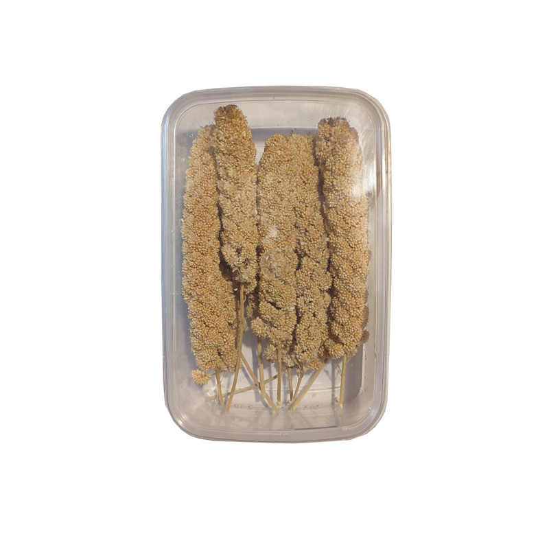 غذای پرنده مدل ارزن خوشه ای کد SP7 بسته 10 عددی
