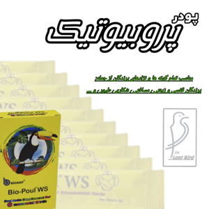 پودر پروبیوتیک پرندگان مدل ساشه کد 8x5gr حجم 40 گرم مجموعه 8 عددی