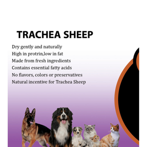 غذای تشویقی سگ فاما پت مدل TRACHEA SHEEP وزن 20 گرم