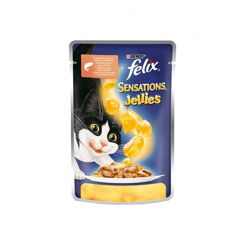 پوچ گربه فلیکس مدل Salmone وزن 100 گرم