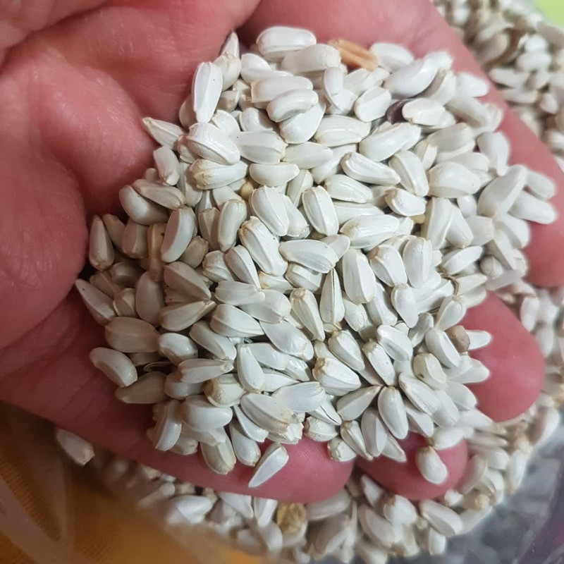 غذای پرندگان مدل کافشه وزن 500 گرم
